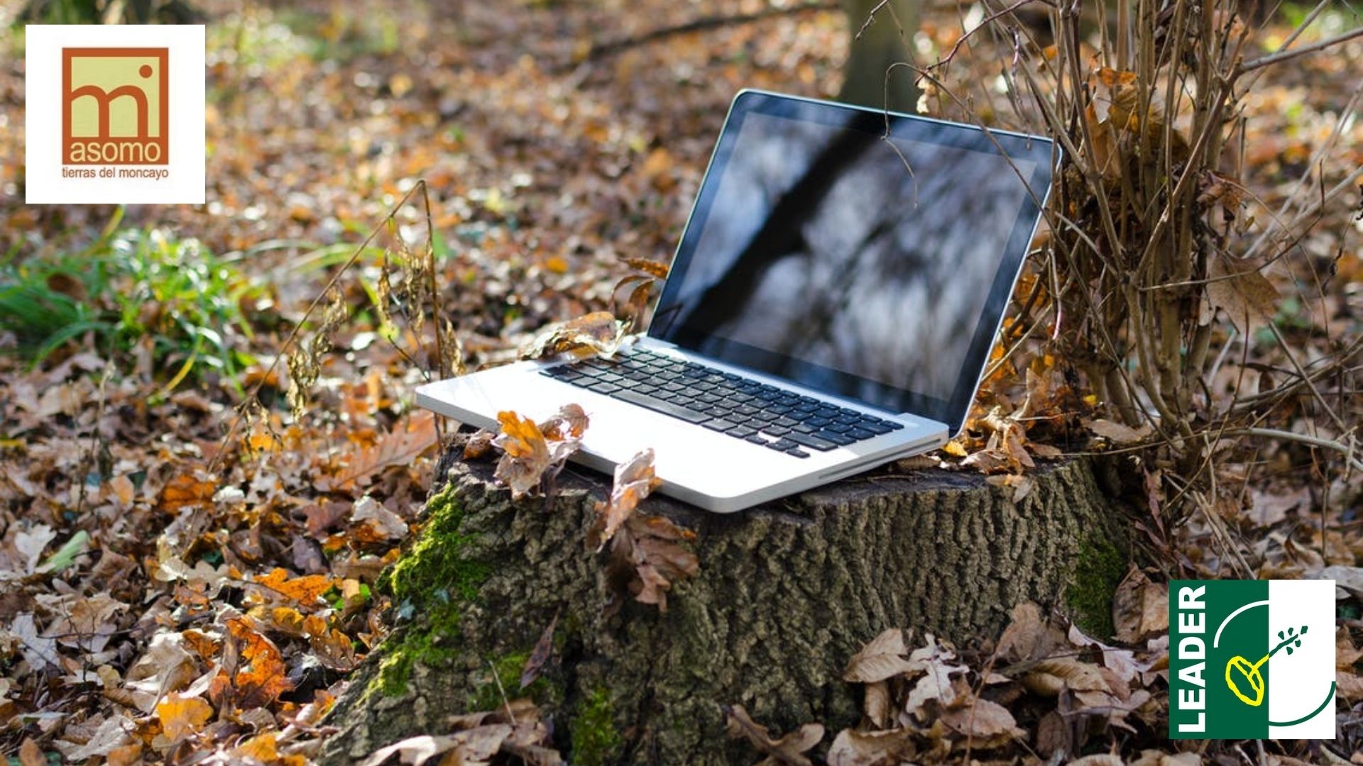 ¡Los proyectos Agón comunicado mediante cableado de fibra y Bisimbre conecta – “Cableado de fibra” han sido aprobados!