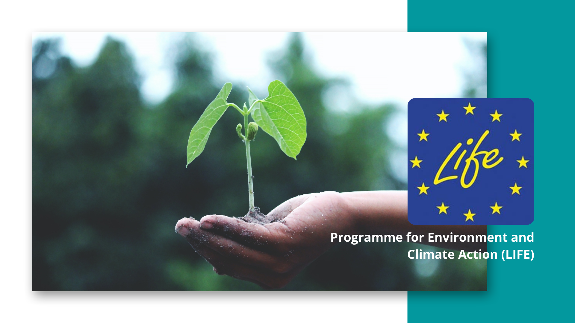 Convocatoria: Proyectos Estratégicos Integrados – Acción por el Clima (LIFE-2021-STRAT-CLIMA-SIP-two-stage)