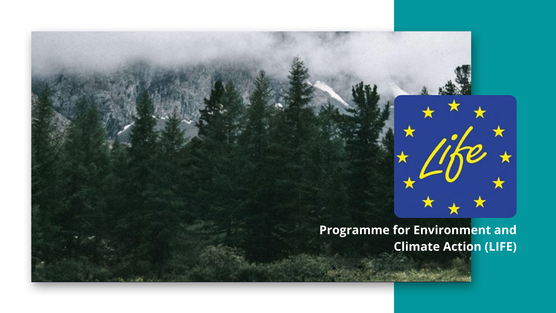 Convocatoria: Gobernanza de Naturaleza (LIFE)