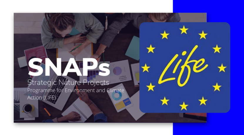 Convocatoria: Ayudas para el desarrollo de Proyectos Estratégicos de Naturaleza (LIFE)