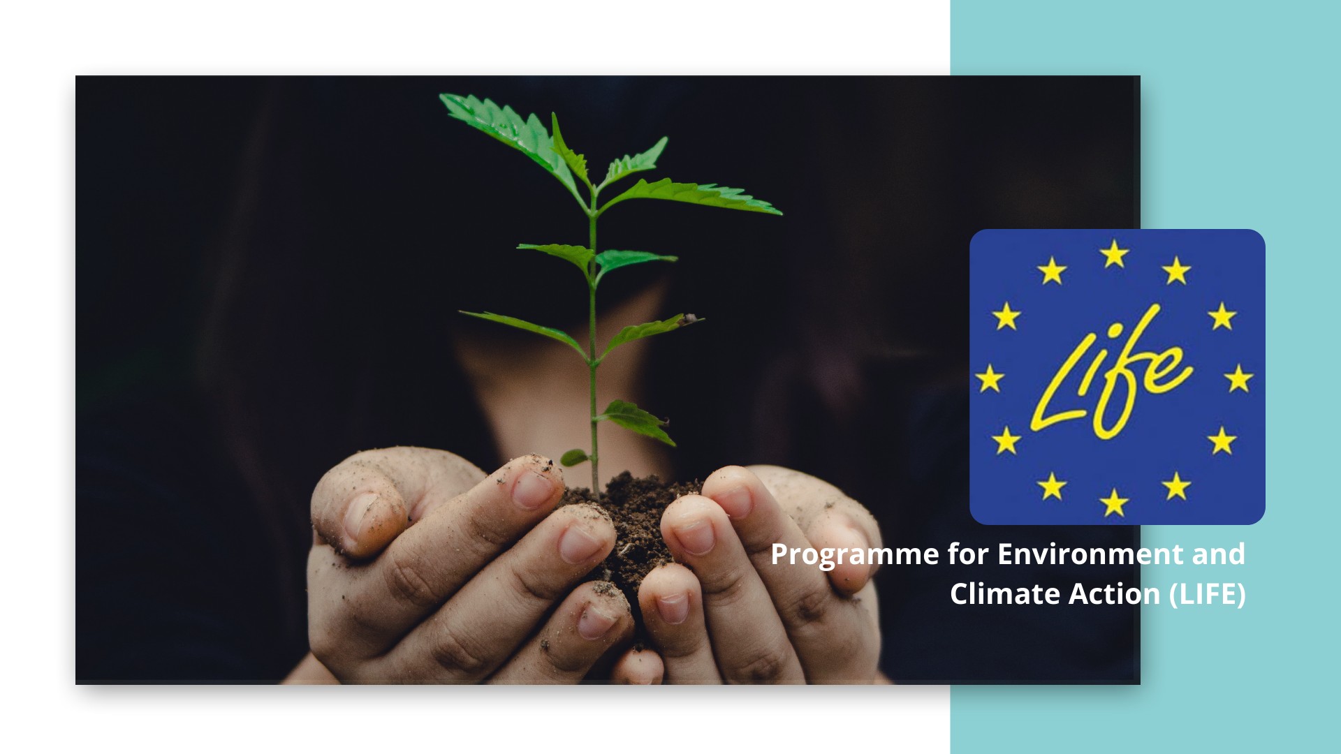 Convocatoria: Inversiones en energía sostenible (LIFE-2021-CET)